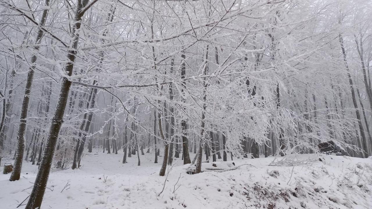 Chata Korenny Vrch Pezinska Baba Pezinok Extérieur photo