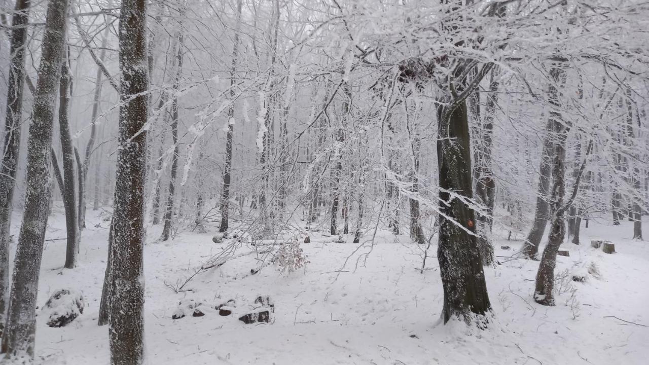 Chata Korenny Vrch Pezinska Baba Pezinok Extérieur photo