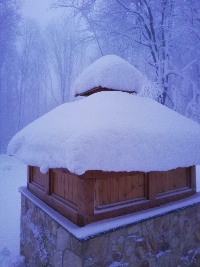 Chata Korenny Vrch Pezinska Baba Pezinok Extérieur photo